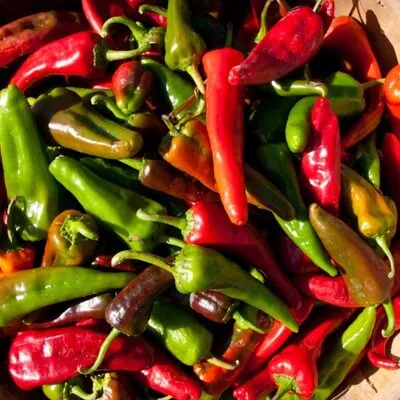 Maria's New Mexican Kitchen